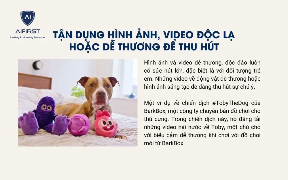 Sử dụng hình ảnh, video độc lạ hoặc dễ thương