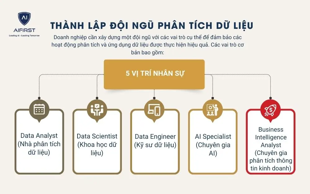 5 vị trí nhân sự có vai trò quan trọng trong đội ngũ phân tích dữ liệu
