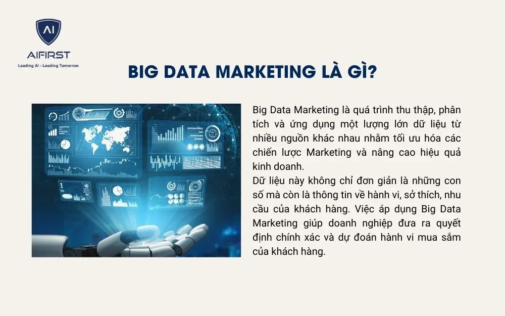 Big Data Marketing là gì?
