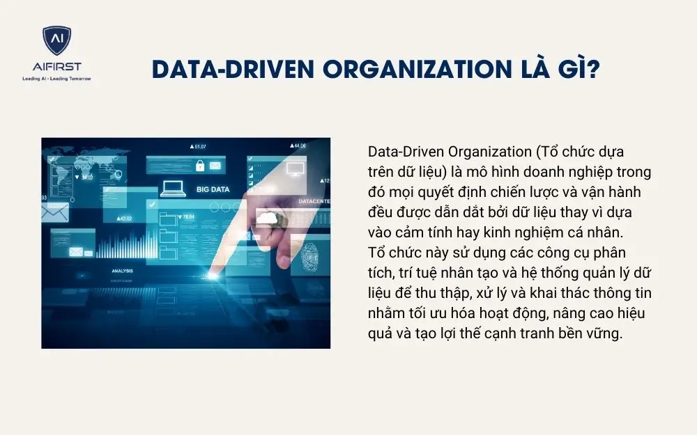 Data-Driven Organization là gì?