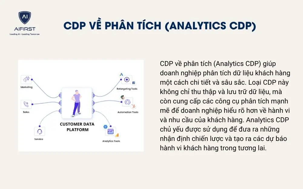 CDP về phân tích (Analytics CDP)