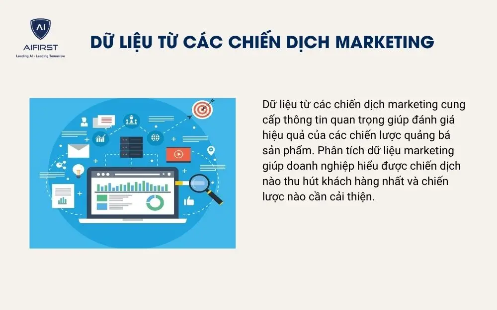 Dữ liệu từ các chiến dịch marketing