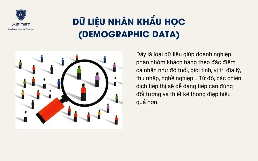 Dữ liệu nhân khẩu học (Demographic Data)