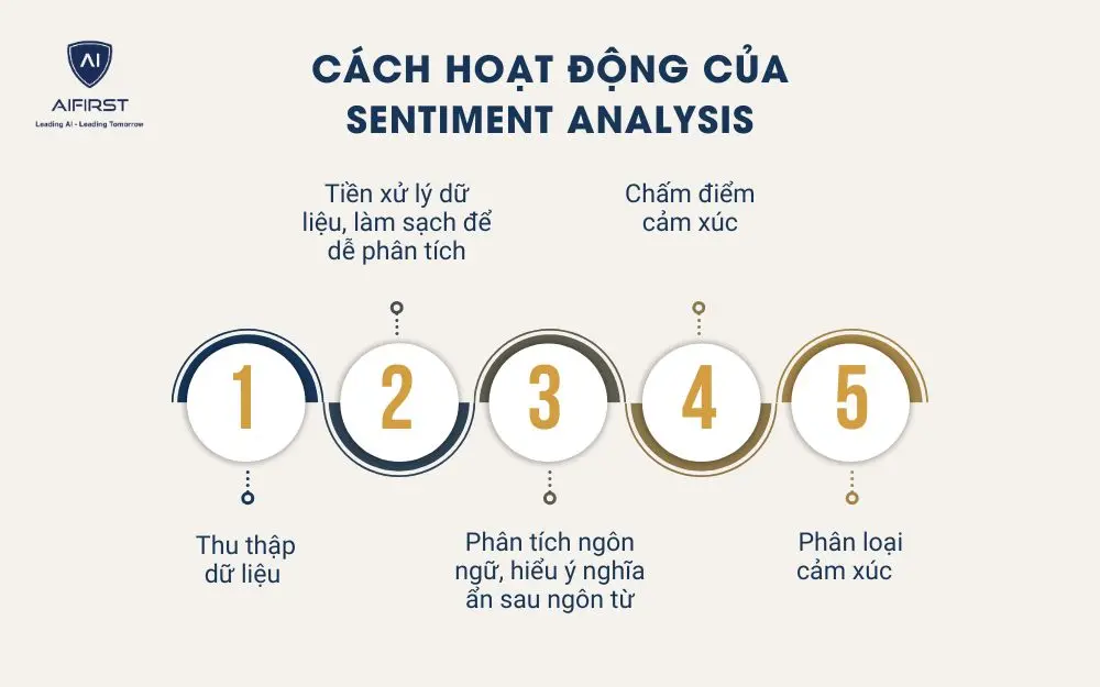 Cách hoạt động của Sentiment Analysis