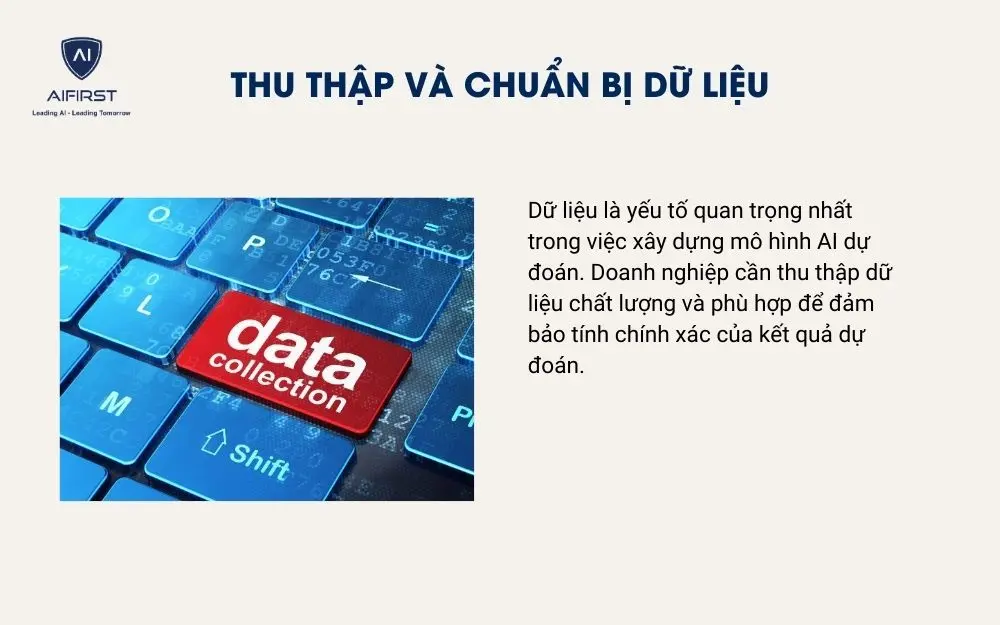 Thu thập và chuẩn bị dữ liệu