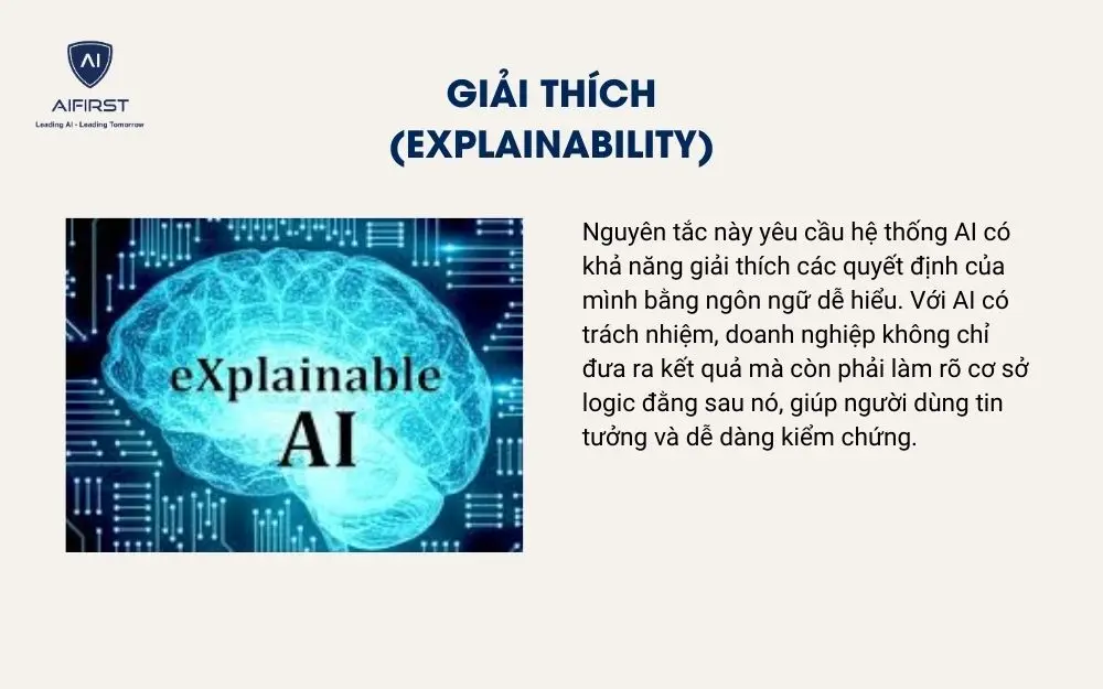 Giải thích (Explainability)