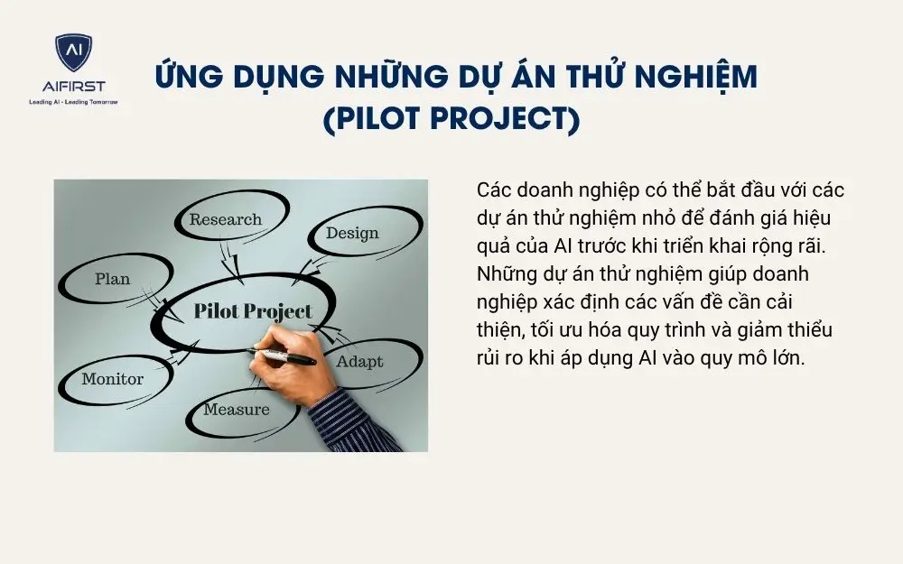 Ứng dụng những dự án thử nghiệm (Pilot project)