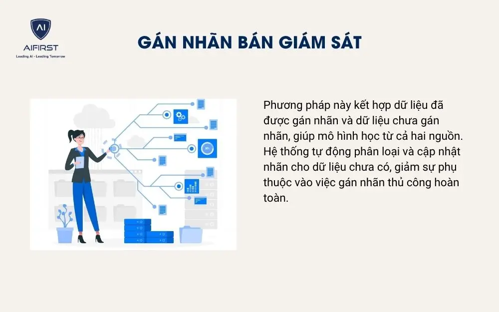 Gán nhãn bán giám sát