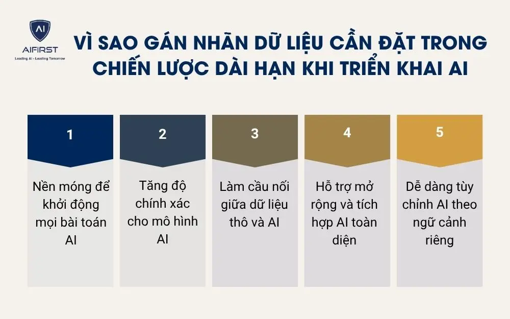 Vì sao gán nhãn dữ liệu cần đặt trong chiến lược dài hạn khi triển khai AI