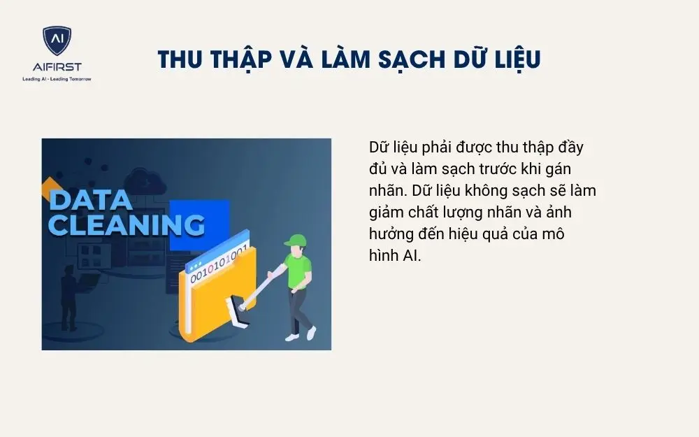 Thu thập và làm sạch dữ liệu