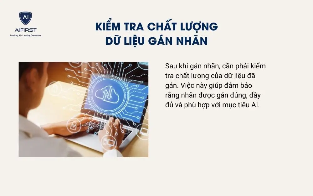 Kiểm tra chất lượng dữ liệu gán nhãn
