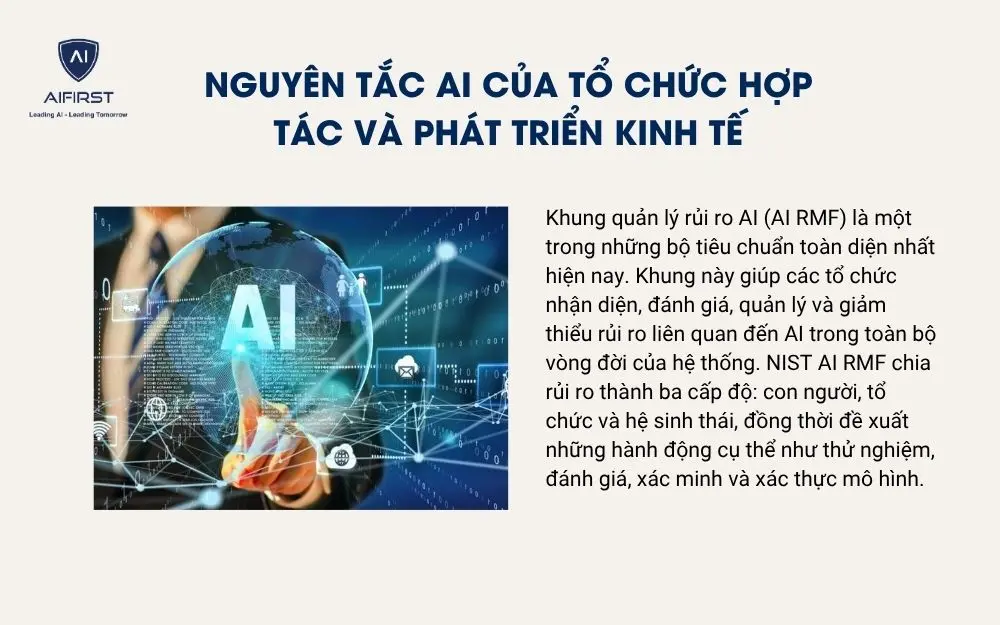 Nguyên tắc AI của Tổ chức Hợp tác và Phát triển Kinh tế