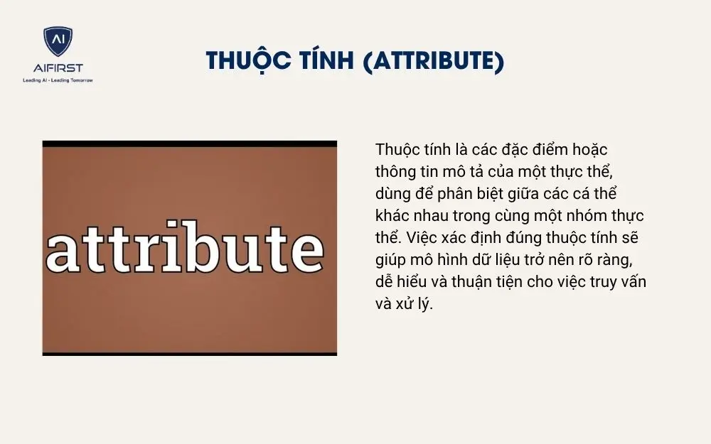 Thuộc tính (Attribute)