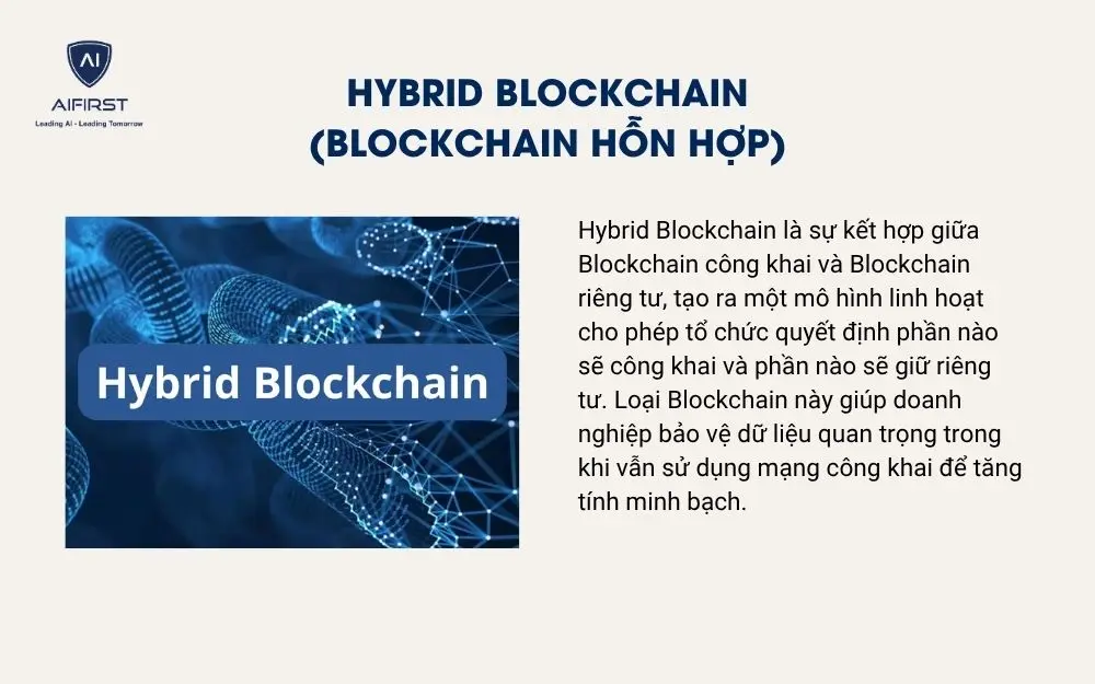 Hybrid Blockchain (Blockchain Hỗn Hợp)
