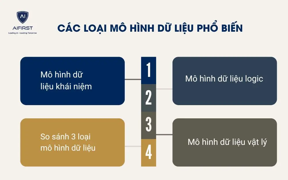  C&aacute;c loại m&ocirc; h&igrave;nh dữ liệu phổ biến
