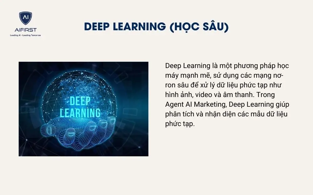 Deep Learning (Học s&acirc;u)