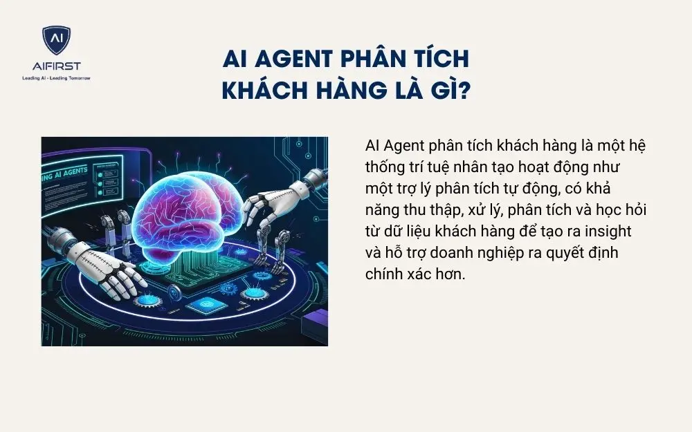 AI Agent ph&acirc;n t&iacute;ch kh&aacute;ch h&agrave;ng l&agrave; g&igrave;?