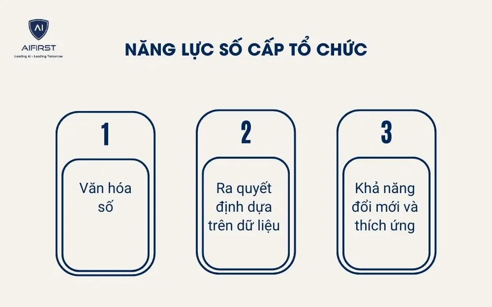  Năng lực số cấp tổ chức