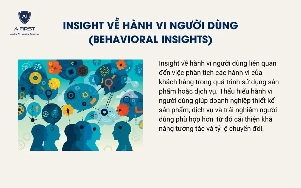 Insight về h&agrave;nh vi người d&ugrave;ng (Behavioral Insights)