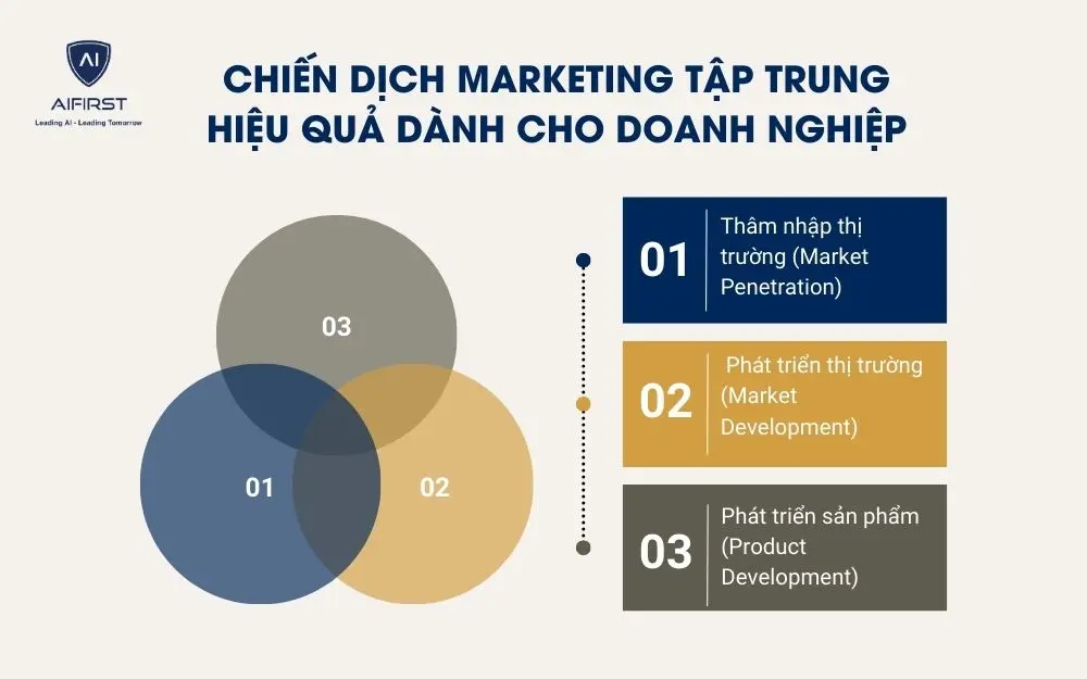 Chiến dịch Marketing tập trung hiệu quả d&agrave;nh cho doanh nghiệp