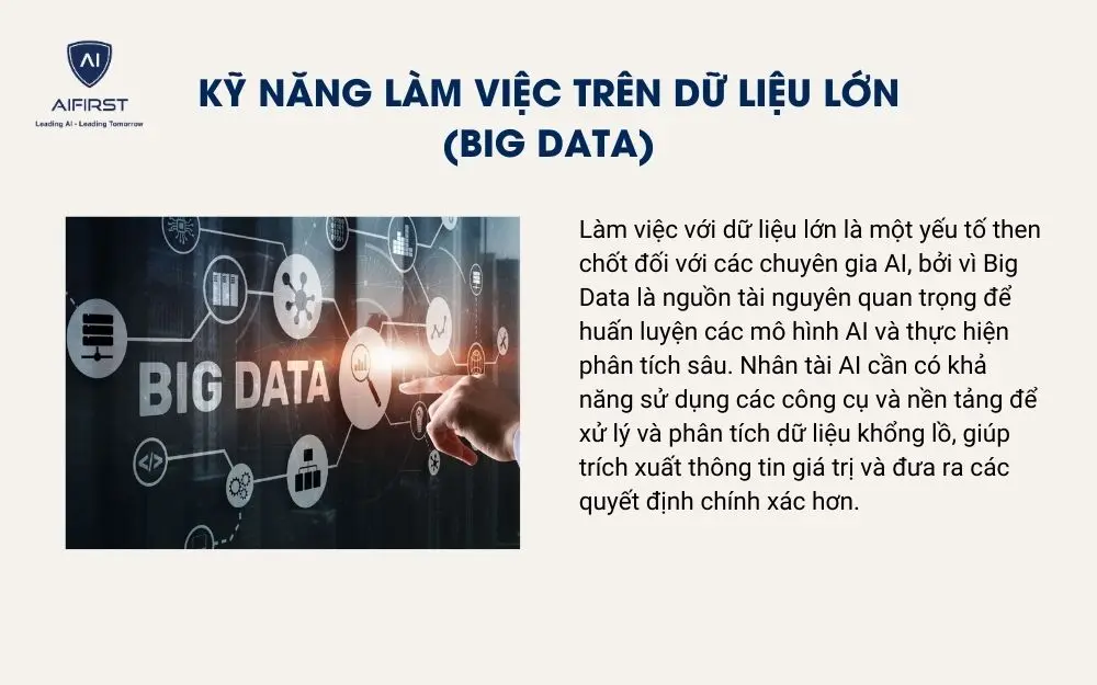 Kỹ năng l&agrave;m việc tr&ecirc;n dữ liệu lớn (Big Data)