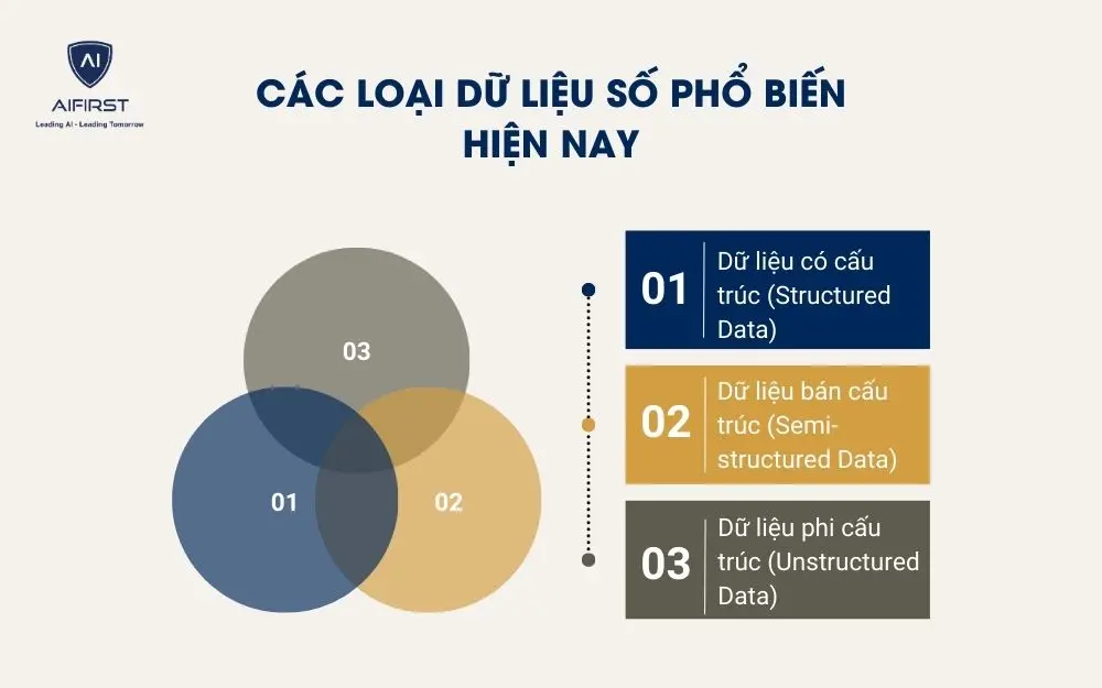 C&aacute;c loại dữ liệu số phổ biến hiện nay