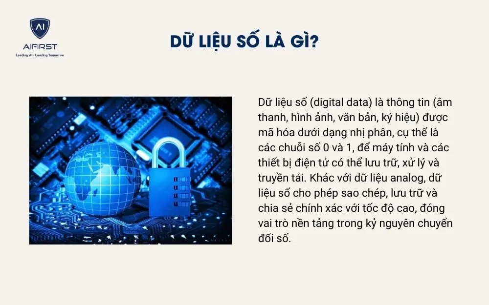 Dữ liệu số l&agrave; g&igrave;?