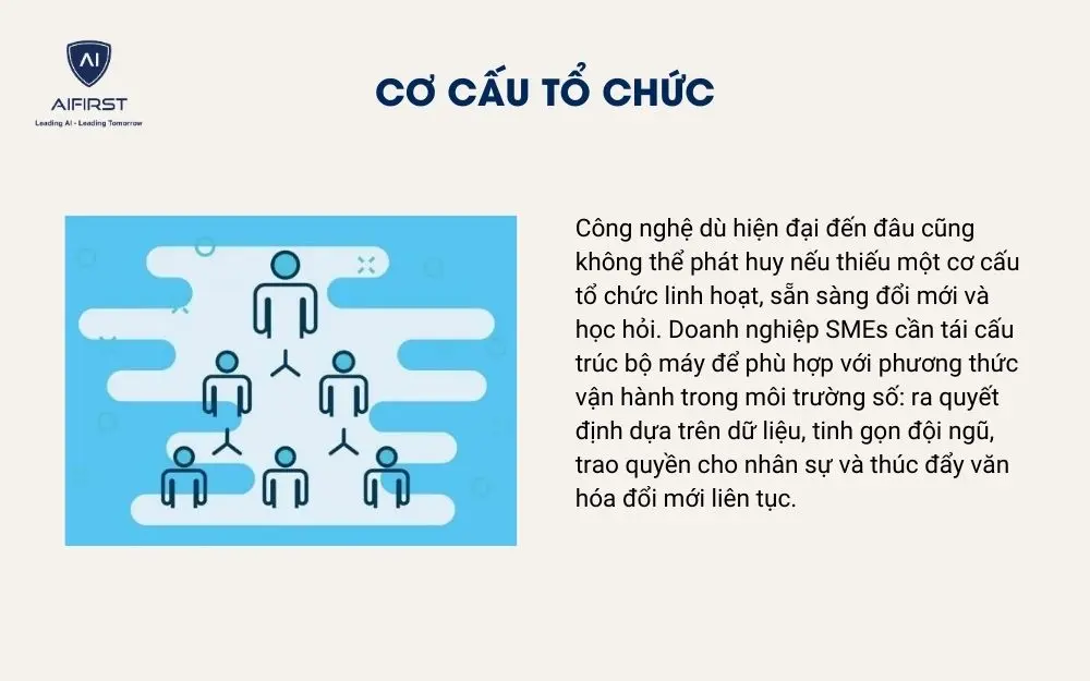 Cơ cấu tổ chức