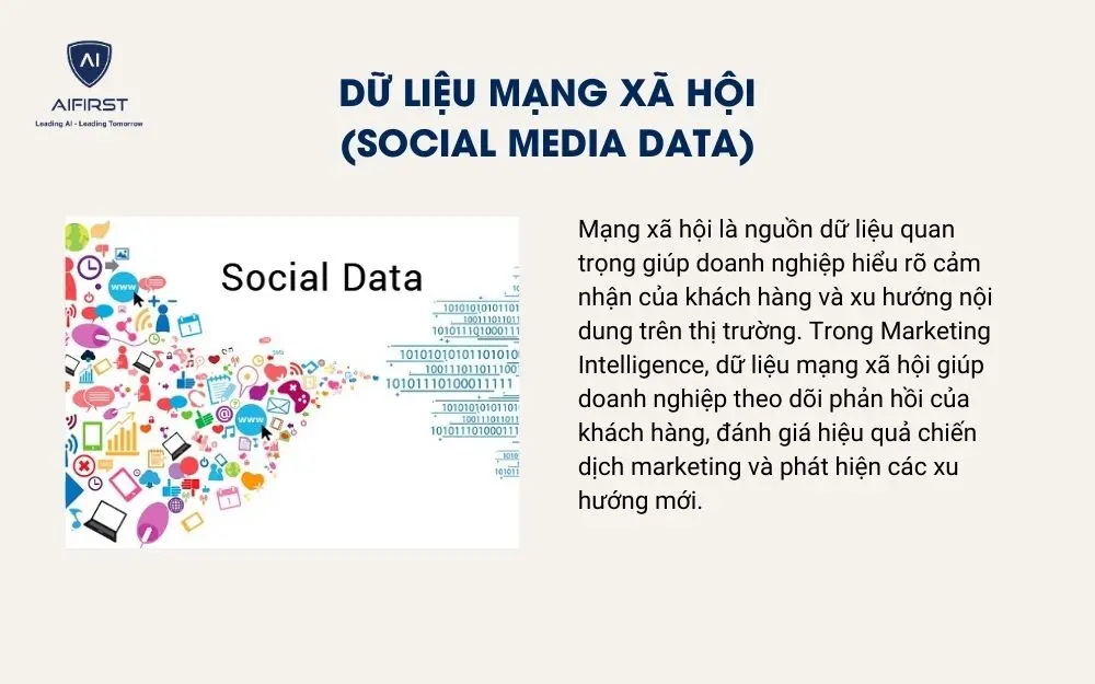 Dữ liệu mạng x&atilde; hội (Social Media Data)