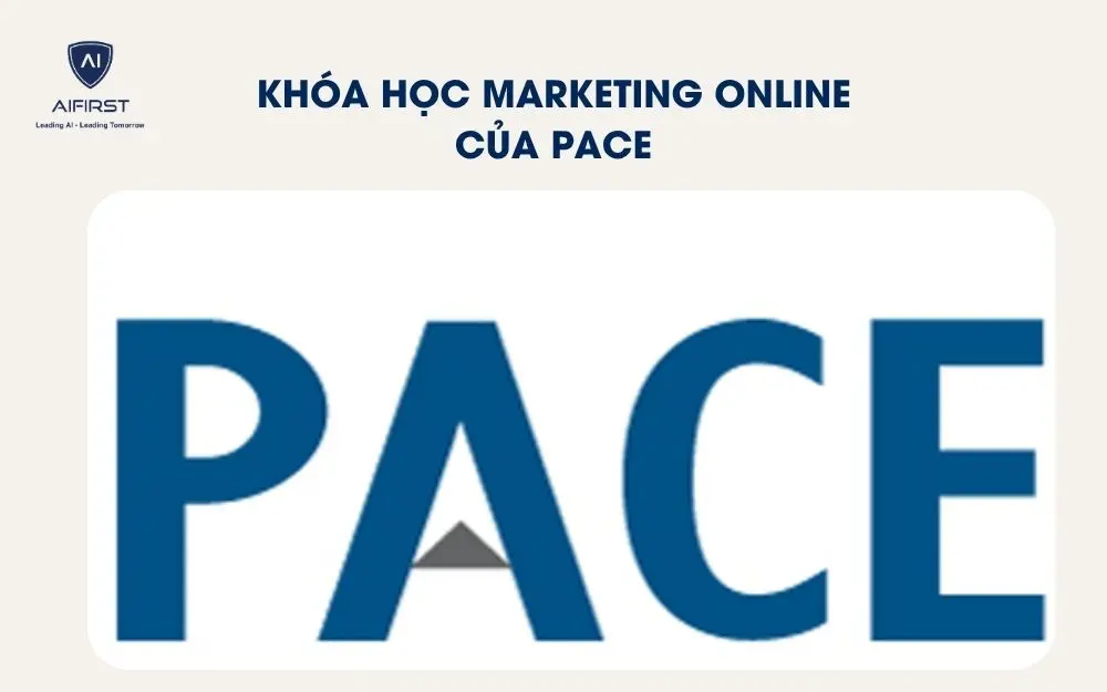 Kh&oacute;a học Marketing online của PACE