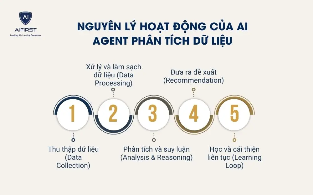 Nguy&ecirc;n l&yacute; hoạt động của AI Agent ph&acirc;n t&iacute;ch dữ liệu