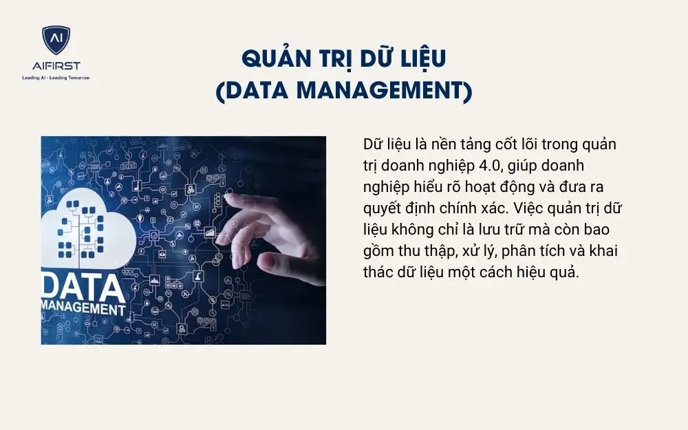 Quản trị dữ liệu (Data Management)