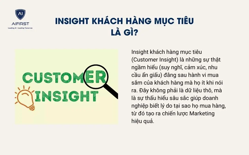 Insight kh&aacute;ch h&agrave;ng mục ti&ecirc;u l&agrave; g&igrave;?
