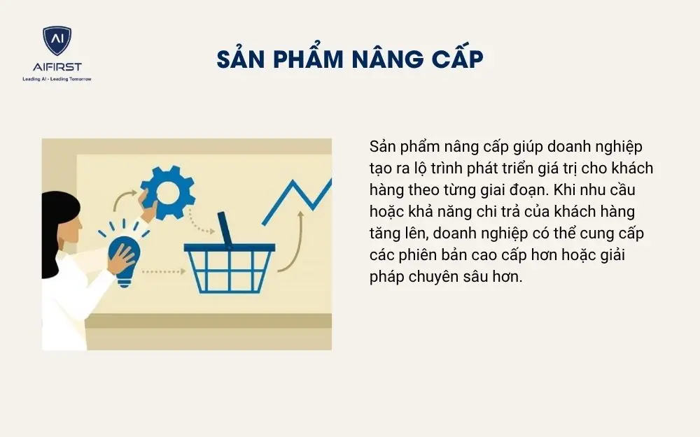 Sản phẩm n&acirc;ng cấp