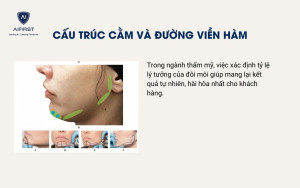 Cấu trúc cằm và đường viền hàm